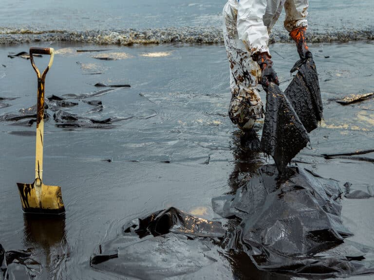 Clean up crude oil spilled