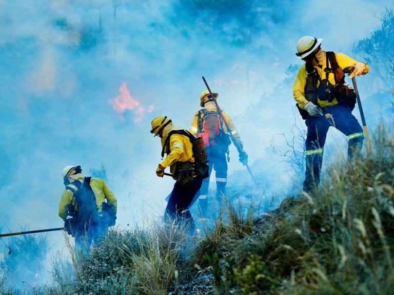 Combating the flames